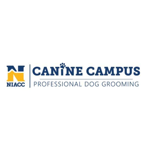 NIACC Announces Launch of Canine Campus Professional Dog Grooming Salon ...