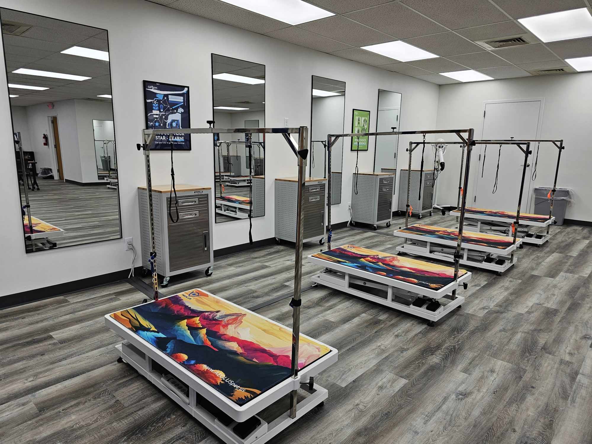 A modern and spacious pet grooming facility featuring several professional grooming tables, each equipped with adjustable restraints and vibrant, colorfully designed mats. The room is well-lit and lined with large mirrors, enhancing visibility and spaciousness. Each grooming station includes a mobile storage cabinet with grooming tools and supplies. The gray wood-style flooring and white walls provide a clean and professional appearance, ideal for a high-quality grooming environment.