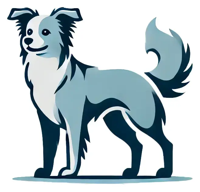 A simple vector illustration of a medium-sized Border Collie standing upright. The dog is depicted in shades of light blue with smooth lines and minimal details, featuring a bushy tail, perky ears, and long fur. The overall style is clean and modern, giving the dog a playful yet sleek appearance