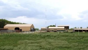 Photo of Agriculture buildings on the NIACC campus